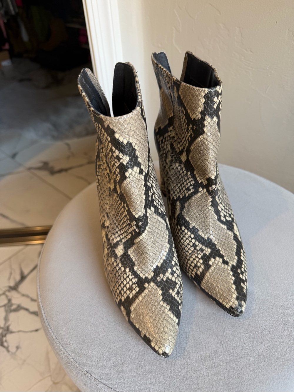 Women’s Snake-Print Pointed Ankle Boots - Black & Cream